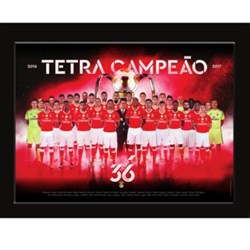 Quadro 3D Benfica Tetracampeão
