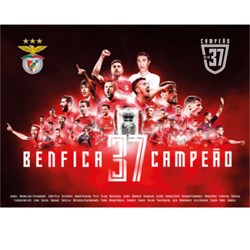 Estandarte SLB Reconquista