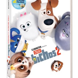 DVD A Vida Secreta dos Nossos Bichos 2