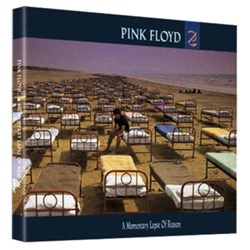 PINK FLOYD - A Momentary Lapse of Reason