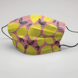 PINK FLOYD - Pulse (2DVD)